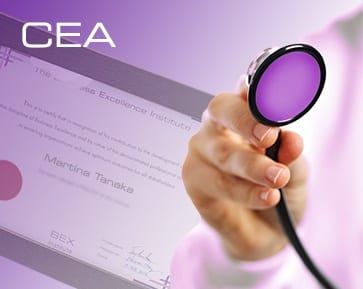 Certified Excellence Assessor Training